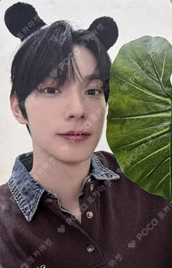 Sweet Dream EVERLINE