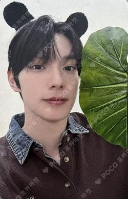 Sweet Dream EVERLINE CHUEI LI YU photocard image