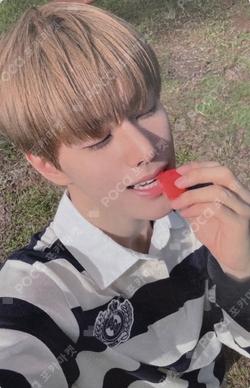 2026 SEASON'S GREETINGS KQ SHOP JINSIK photocard image