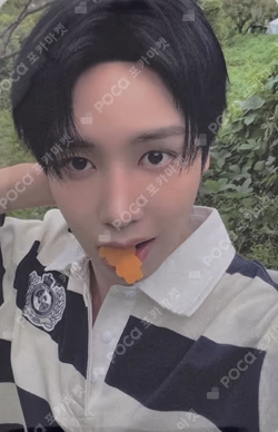 2026 SEASON'S GREETINGS KQ SHOP