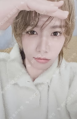 2026 AHOF 1st FAN-CON [AHOFOHA : All time Heartfelt Only FOHA] SHUAIBO photocard image