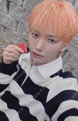 2026 SEASON'S GREETINGS KQ SHOP MINJAE photocard image