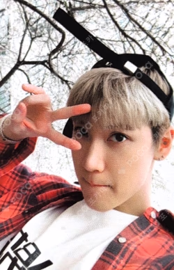 NCT 2018 Fan Party! [SPRING] TICKET HOLDER & PHOTO CARD SET