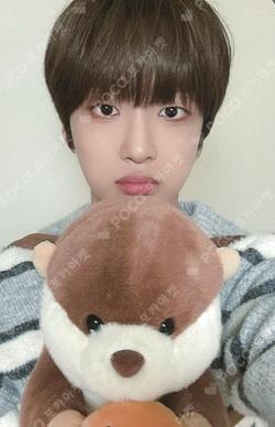 LOST Starlike Music JinSu photocard image