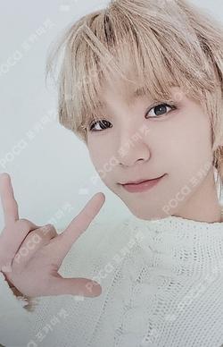 2026 AHOF 1st FAN-CON [AHOFOHA : All time Heartfelt Only FOHA] Daisuke photocard image