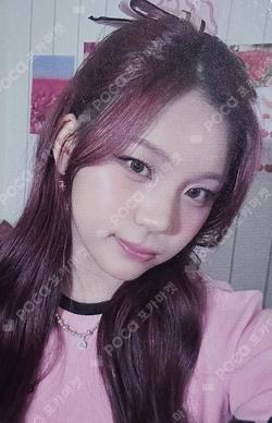 2026 SEASON’S GREETINGS [VIVID GIRLS] PRE-ORDER EVENT UMJI photocard image