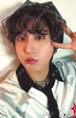 Stray Kids Fan Connecting 2024 SKZ TOY WORLD Blu-ray HAN photocard image