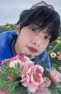 Sweet Dream MUSICPLANT