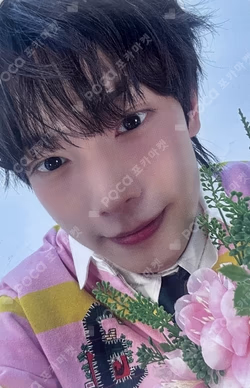 Sweet Dream MUSICPLANT