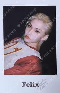 Stray Kids EXHIBITION “We STAY, together” Photo card set FELIX photocard image