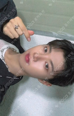 HOUSE OF TRICKY : WRECKING THE HOUSE APPLEMUSIC