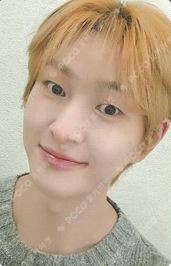 JJING-NYANG POP-UP STORE [JJINGNYANG'S TWINKLE! SNOWYLAND] LUCKY JJING-NYANG