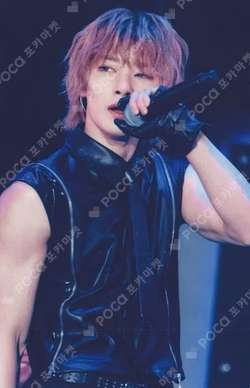 Stray Kids Fan Connecting 2024 SKZ TOY WORLD Blu-ray TOWER RECORDS I.N photocard image