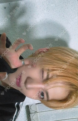 HOUSE OF TRICKY : WRECKING THE HOUSE APPLEMUSIC