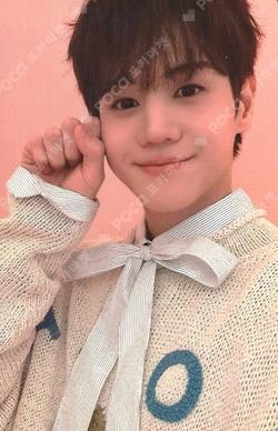 15TH ANNIVERSARY POP-UP STORE HI, LIGHT PHOTO CARD SLEEVE SET