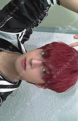 HOUSE OF TRICKY : WRECKING THE HOUSE APPLEMUSIC