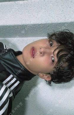 HOUSE OF TRICKY : WRECKING THE HOUSE APPLEMUSIC