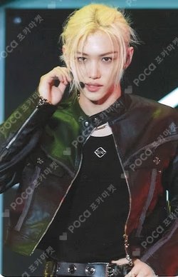 Stray Kids Fan Connecting 2024 SKZ TOY WORLD Blu-ray TOWER RECORDS FELIX photocard image