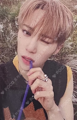 EUPHORIA OLIVE YOUNG ARNO photocard image