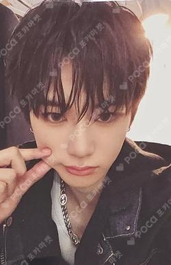 EUPHORIA JEWEL CASE ver. OLIVE YOUNG