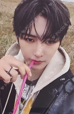 EUPHORIA OLIVE YOUNG