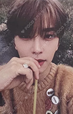 EUPHORIA OLIVE YOUNG XINLONG photocard image