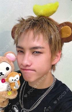 Trophy Hellolive shop Cho Seong Il photocard image