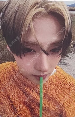 EUPHORIA OLIVE YOUNG SANGWON photocard image