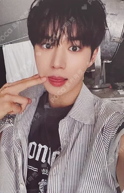 EUPHORIA JEWEL CASE ver. OLIVE YOUNG