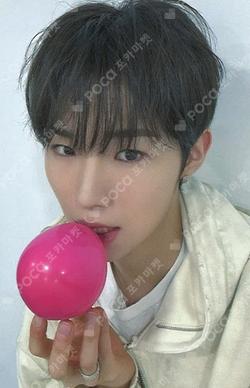 BANG OUT DEAR MY MUSE WONJUN photocard image