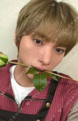 Rush of Joy EVERLINE JINBEOM photocard image