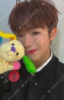 Cut-Out EVERLINE WONJUN photocard image