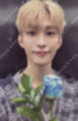 Serenade BROADCAST DK photocard image