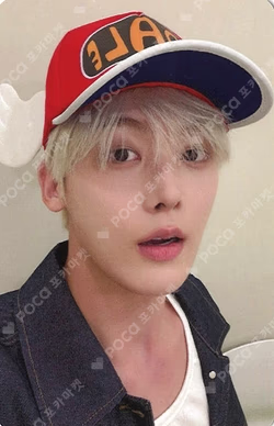 CHAMELEON APPLEMUSIC