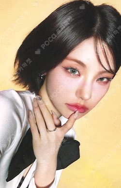 Collector member solo ver.