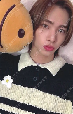 Cut-Out DEAR MY MUSE