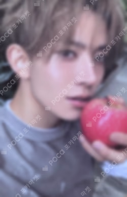 THE SIN : VANISH FUGITIVES Ver.