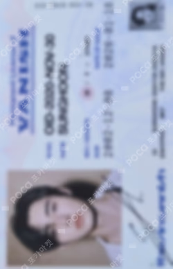 THE SIN : VANISH FUGITIVES Ver.