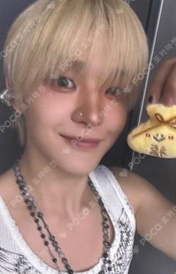 2026 SEASON’S GREETINGS [Offstage : Soft Days] Full Package 2,026 only