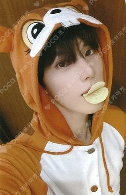 HOUSE OF TRICKY : SPUR JUMP UP JINSIK photocard image