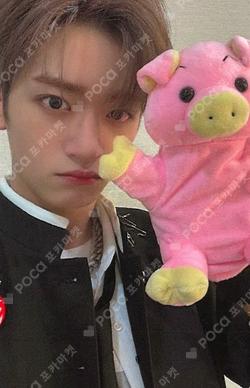 Cut-Out EVERLINE JAEHA photocard image