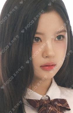 TELECA COLLECTION CARD 2025 K-POP ROOKIE PROMOTIONAL CARD