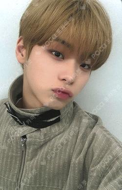 Trophy DEAR MY MUSE Kim Do Gyun photocard image