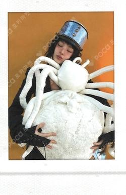 LIL FANTASY vol.1 TINCASE POLAROID SET CHAEYOUNG photocard image