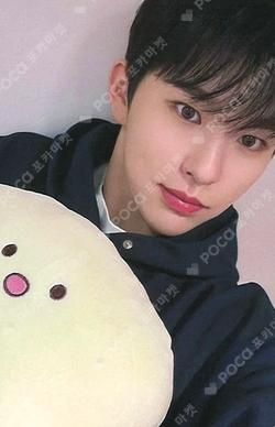 Cut-Out DEAR MY MUSE HASEUNG photocard image