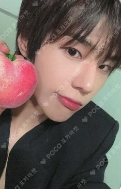 Trophy EVERLINE Hwang Seong Bin photocard image