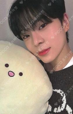 Cut-Out DEAR MY MUSE Kim Junmin photocard image