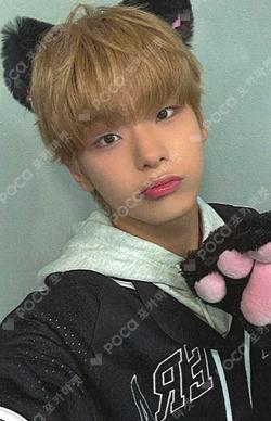 Trophy INTERASIA Kim Do Gyun photocard image