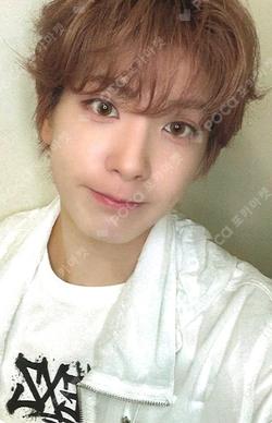 O-RLY? SOUND WAVE YUKI photocard image