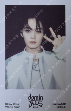 Stray Kids World Tour [dominATE SEOUL] Blu-ray LEE KNOW photocard image